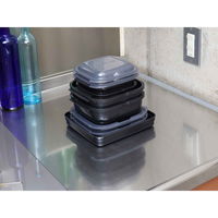 岩谷マテリアル グルラボプラス マルチセット 電子レンジ 調理器具 オーブン対応 日本製 380704 1個（直送品）