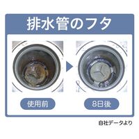 ビッグバイオ ヌメリのち晴れ排水管用 50錠入り 4540094411390 1セット(1個×6)