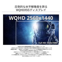 31.5インチ 液晶ディスプレイ(2560x1440/IPS/DP/HDMIx2/チルト/非光沢) JN-IPS315FLWQHDR（直送品）