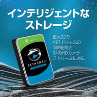 Seagate SkyHawk HDD 3.5inch SATA 6Gb/s 1TB 5400RPM 256MB 512E ST1000VX013 1個