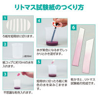 アーテック 不思議な粉でつくるリトマス試験紙キット 55938 3セット（直送品）