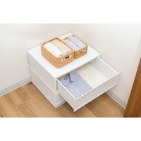 防虫 引き出しシート 350377 1個 東和産業（直送品）