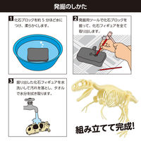 アーテック 化石発掘キット ティラノサウルス 9472 1セット（直送品）