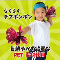 アーテック らくらくチアポンポン ピンクシルバー 14831 1セット(5組)