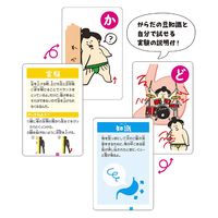 アーテック からだの不思議かるた 9529 1セット(3個)