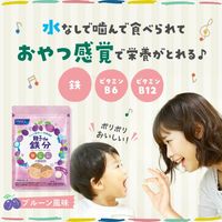 ファンケル 親子de 鉄分＜栄養機能食品＞ 30～60日分 1個 サプリメント