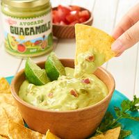 メキシチョイス グァカモレディップ 255g 1個 オーバーシーズ