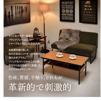 B.Bファニシング Francis センターテーブル 幅900×奥行450×高さ400mm FRCT0091MEBRN 1台（直送品）