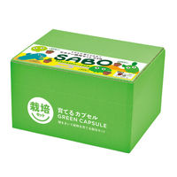 聖新陶芸 聖新 GD-921 育てるカプセル サボテン 1箱（直送品）