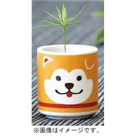 聖新陶芸 聖新 GD-92201 オメデタオチョコ ハチ公 茶 赤松　1個（直送品）