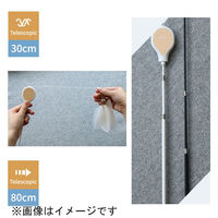 ベムパートナー ベム AW-C-020 ねこじゃらしDX ピンクW 1本（直送品）