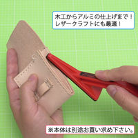 エヌティー NT ドレッサー替刃 中目 BS-3P 1個（直送品）