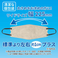 3D立体型マスク 5枚入 ワイド グレージュ/黒 3袋セット カラフル JBY-AS 1セット（3袋） エスパック（直送品）