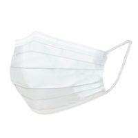 小野商事 不織布3層マスク レギュラーサイズ 1セット(50枚入×40箱) WS7001（直送品）