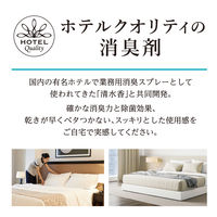 ノンスメル清水香 衣類・布製品・空間用スプレー 無香 詰め替え 600mL 1個 白元アース