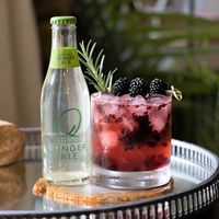 Qドリンクス ジンジャーエール 瓶 198ml 1箱（24本入）