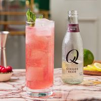 Qドリンクス ジンジャービアー 瓶 198ml 1箱（24本入）