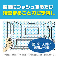 お風呂の防カビムエンダー 浴室まるごと カビ予防 スプレー 40プッシュ 無香料 40ml 1個 KINCHO キンチョー