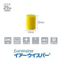 DKSHジャパン イヤーウィスパー レギュラーサイズ 2ペア入り 011661 1セット(2個)