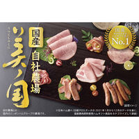 日本ハム ギフト 国産 プレミアム 美ノ国 UKI-38 お歳暮 熨斗付き 冷蔵 901040612 1セット（直送品）