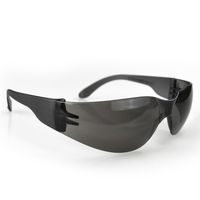 エスコ 保護めがね(スモーク) EA800AR-114 1セット(20個)（直送品）