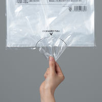 【ポリ袋】アスクル 吊るしひも付き規格袋 LDPE 0.02mm厚 11号 透明 1袋（100枚入） オリジナル
