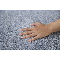 スミノエ HOMERUG むじのラグ 洗える ラグ ルフレ 1900×2400mm ライトブルー 4549781290294 1枚（直送品）