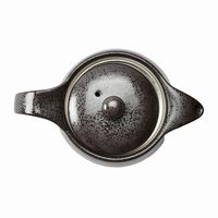 アースモス ティーポット 鉄仙花 ポット [2個入] vac-107-06004（直送品）