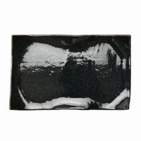 アースモス 小皿 ラピスラズリ タタラ型8.0寸長角皿 [2個入] vac-120-04019（直送品）