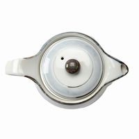 アースモス ティーポット 淡彩ライン ポット [2個入] vac-301-06004（直送品）