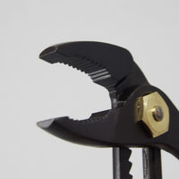 フジ矢 ウォーターポンププライヤー（黒金・バネ付・ドライバ） 110-250SD-BG 1個