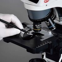 京都機械工具 KTC 19.0SQ 40ギア 小判形ヘッド ロングラチェットハンドル BR6AL 1丁（直送品）