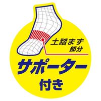 コーコス信岡 ニオイクリア 消臭ソックス ハイゲージミドル 2P ブラック S G-9320 1足