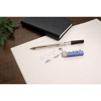 シード サンドイレイザー EP-512 1セット(1個×20)