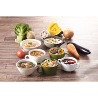 【施設・給食・食事】武蔵野フーズ 具だくさん食べるスープセット さっぱり黒酢入り酸辣湯 1セット（20食入） SU1-3（直送品）
