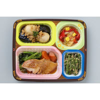 【施設・給食・食事】武蔵野フーズ 健康美膳（塩分・カロリー調整食） 和のおかずセット 1セット（14食：7食入×2箱） N-1　（直送品）