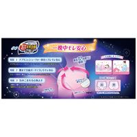 ナプキン 生理用品 ソフィ 超熟睡ガード 特に多い夜用 ショーツ型 M~L 超熟睡ショーツ 1セット （10枚×2パック） ユニ・チャーム