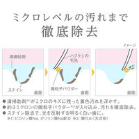 Lightee（ライティー） ハミガキPREMIUM シトラスティーミント 53g 1セット（2本） ライオン 歯磨き粉 美白