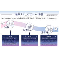 ビューウェル アンドグッドナイト ゆったりバスソルト3種アソートセット（40g×3種）グローバルプロダクトプランニング 安眠 ギフト プレゼント