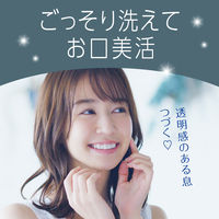 マウスウォッシュ 携帯用 口臭 モンダミン スパイシーミント ミニボトル 100mL 1セット（10本）洗口液 強刺激タイプ アース製薬