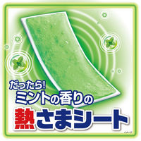 熱さまシート 大人用 リフレッシュミントの香り 1セット（12枚入×3箱）冷却用品 冷却シート 冷感 小林製薬
