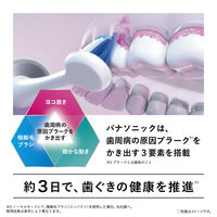 パナソニック 音波振動ハブラシ ドルツ EW-DA46-H 1台