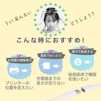 オウルテック 手持ちのUSBケーブルを手軽に延長 断線に強いUSB延長ケーブル 2m ホワイト OWL-CBKE20-WH 1個