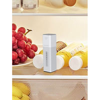 富士計器 低濃度オゾン発生器 オゾンスクエア 6155 1台