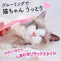 コモライフ 猫舌とろ~ん 391532 1個入（直送品）