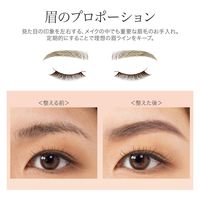 コモライフ 天然馬毛の眉用ブラシ&コーム 391545 1個入（直送品）