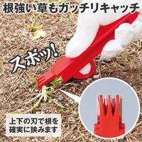コモライフ テコ式の草抜き達人 390656 1個入（直送品）