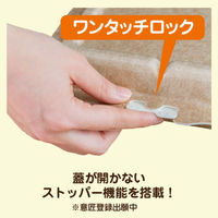 JSPパッケージング 弁当容器　テイクアウトボックス24-24CB仕切無　300枚(50枚×6) 255606（直送品）