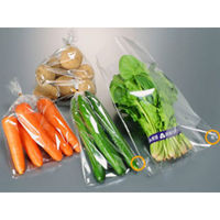 青果用袋 プラマーク規格品 FG20#200x350 4穴 6000枚(1000枚×6) 5051（直送品）