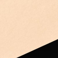 山櫻 名刺 C106 ベージュ 4号名刺 100枚入 20125568 1箱